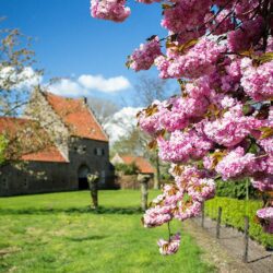 'T Kasteelke, voorjaarsfoto