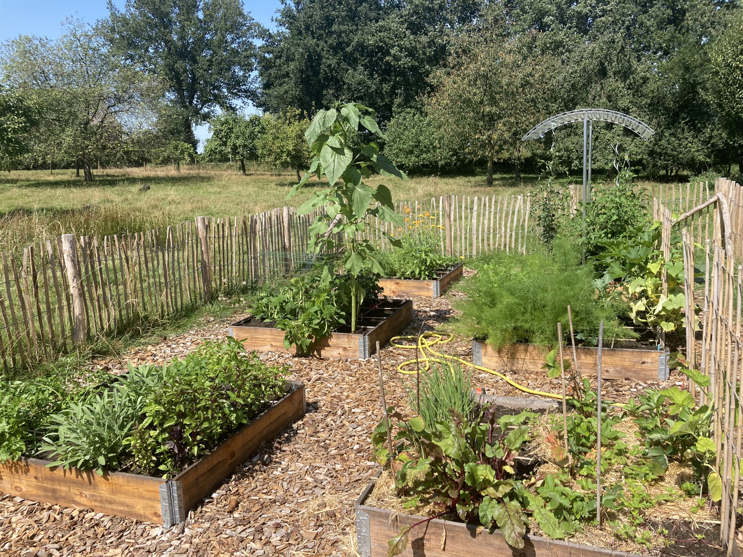 Kitchen garden_Castleke